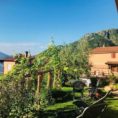 דונגו Agriturismo Botton D'Oro מראה חיצוני תמונה