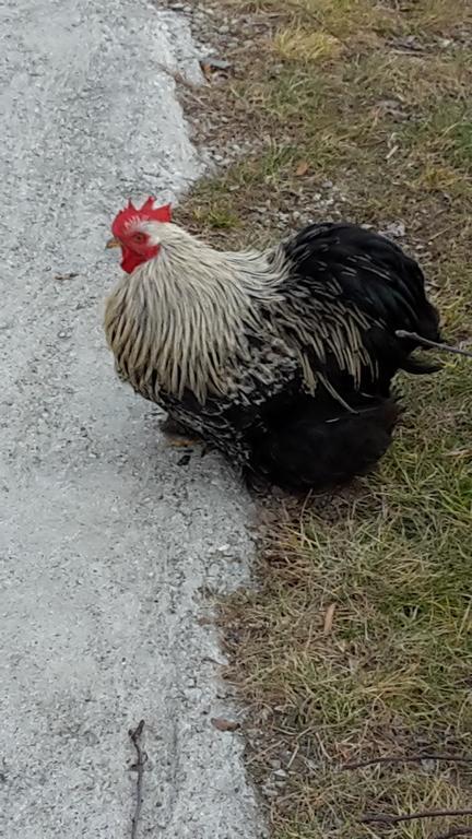 דונגו Agriturismo Botton D'Oro מראה חיצוני תמונה